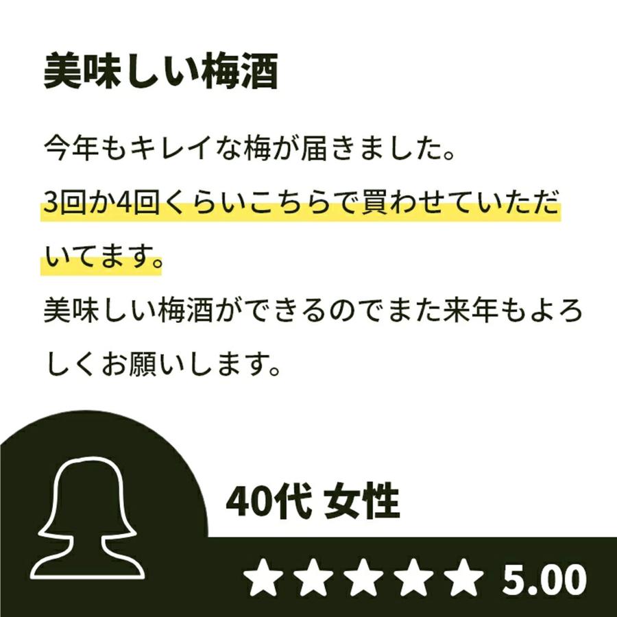 樹熟梅 1kg 栽培期間中農薬不使用 南高梅 熊野 生梅 手摘み 完熟梅