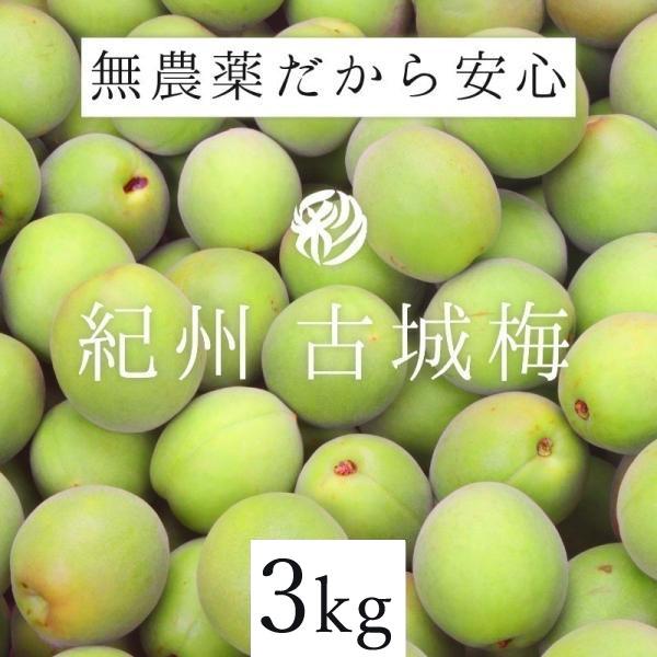 スーパーセール 和歌山県 紀州産 特別栽培 中熟梅~完熟南高梅 生産者直送 10kg 和歌山県 紀州産 特別栽培 中熟梅~完熟南高梅 生産者直送 10kg
