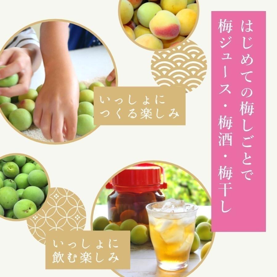 【ほぼ未使用】 古城梅 8kg 梅酒 梅ジュース用 無農薬 青梅 熊野 無化学肥料 生梅 紀州 彩り屋 予約受付中 ５月下旬頃から順次発送予定 【VQ1964533842】(10088円)