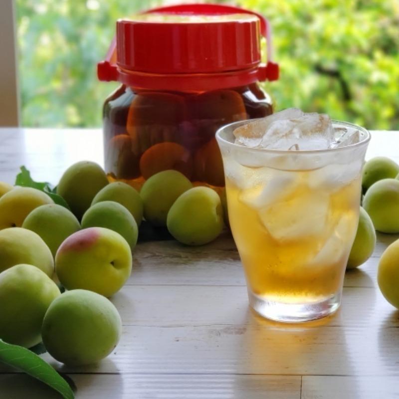 【ほぼ未使用】 古城梅 8kg 梅酒 梅ジュース用 無農薬 青梅 熊野 無化学肥料 生梅 紀州 彩り屋 予約受付中 ５月下旬頃から順次発送予定 【VQ1964533842】(10088円)