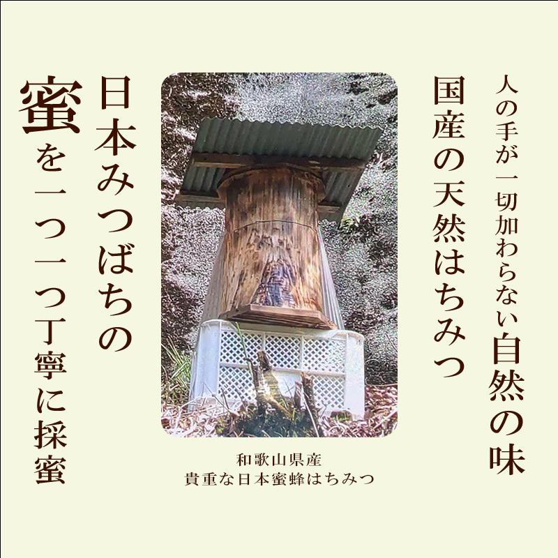 はちみつ 国産 奥熊野山蜜 600g 日本ミツバチ 二ホンミツバチ 蜂蜜 非