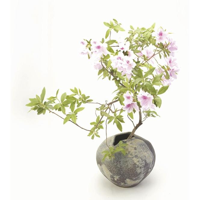 花瓶 陶器 信楽焼 花器 花入 信楽焼 陽 彩り屋