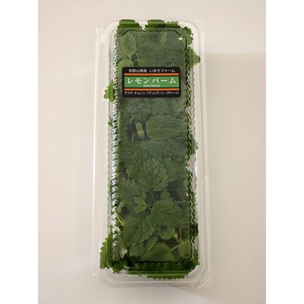 レモンバーム 15g フレッシュハーブ 食用 和歌山県産レモンの香りの風味づけに サラダ