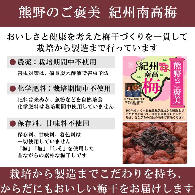 梅干し 無添加 無農薬 しそ漬 500g ヒマラヤ 岩塩 南高梅 酵素 梅干し 紫蘇 国産 ギフト 甘味料 着色料 無添加 栽培期間中農薬不使用 彩り屋｜irodoriya｜06