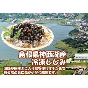 【最大P+7％対象】島根県神西湖産 冷凍しじみ 真空パック250gx4パック 1kg (砂抜き処理済み) 大和シジミ 大粒高さ厚みが 13mm以上神西湖 (しんざいこ) のしじみ : 彩り屋 - 通販 - Yahoo!ショッピング