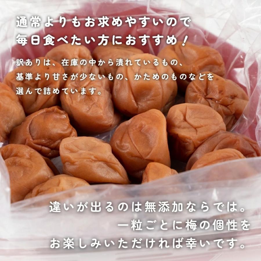 梅干し 無添加 無農薬 訳あり はちみつ漬 1kg 南高梅 減塩