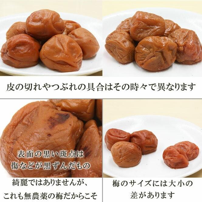 梅干し 無農薬 無添加 送料無料 はちみつ漬け 訳あり わけあり 家庭用 南高梅 山みつ漬 1kgx3箱セット 熊野のご褒美 Ym Nk Kg Wa 3k 彩り屋 通販 Yahoo ショッピング