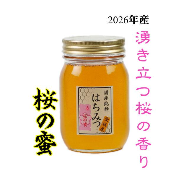 国産 さくら 純粋 蜂蜜 500g はちみつ 桜 サクラ ハチミツ 愛媛県産 単花蜜（Yahoo!・いろは養蜂場）
