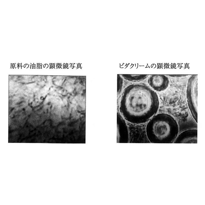 テネモス ビダクリーム Vida Cream レフィル 付替用 30ml : 伊路波いち