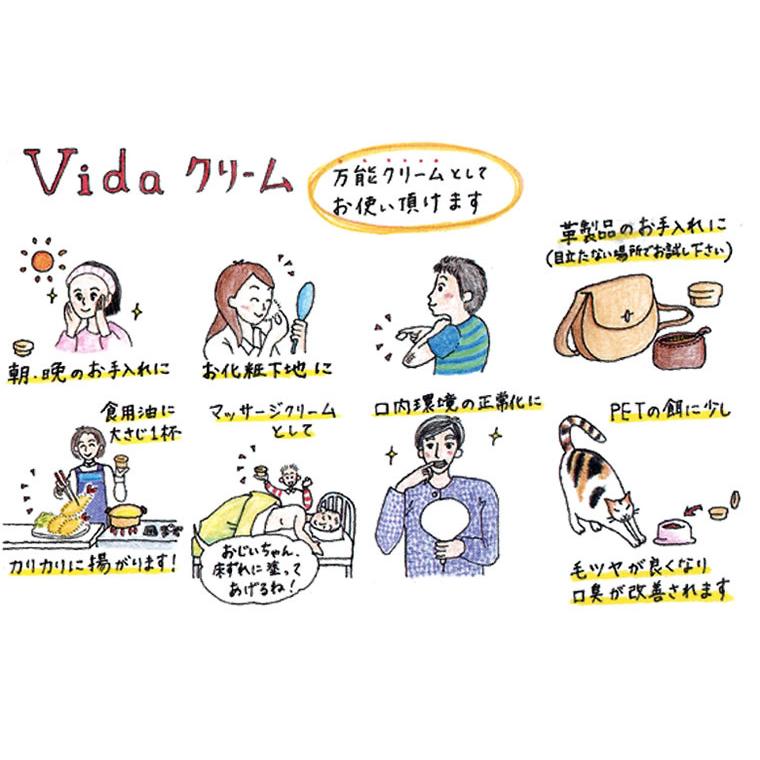 テネモス ビダクリーム Vida Cream レフィル 付替用 30ml : 伊路波いち
