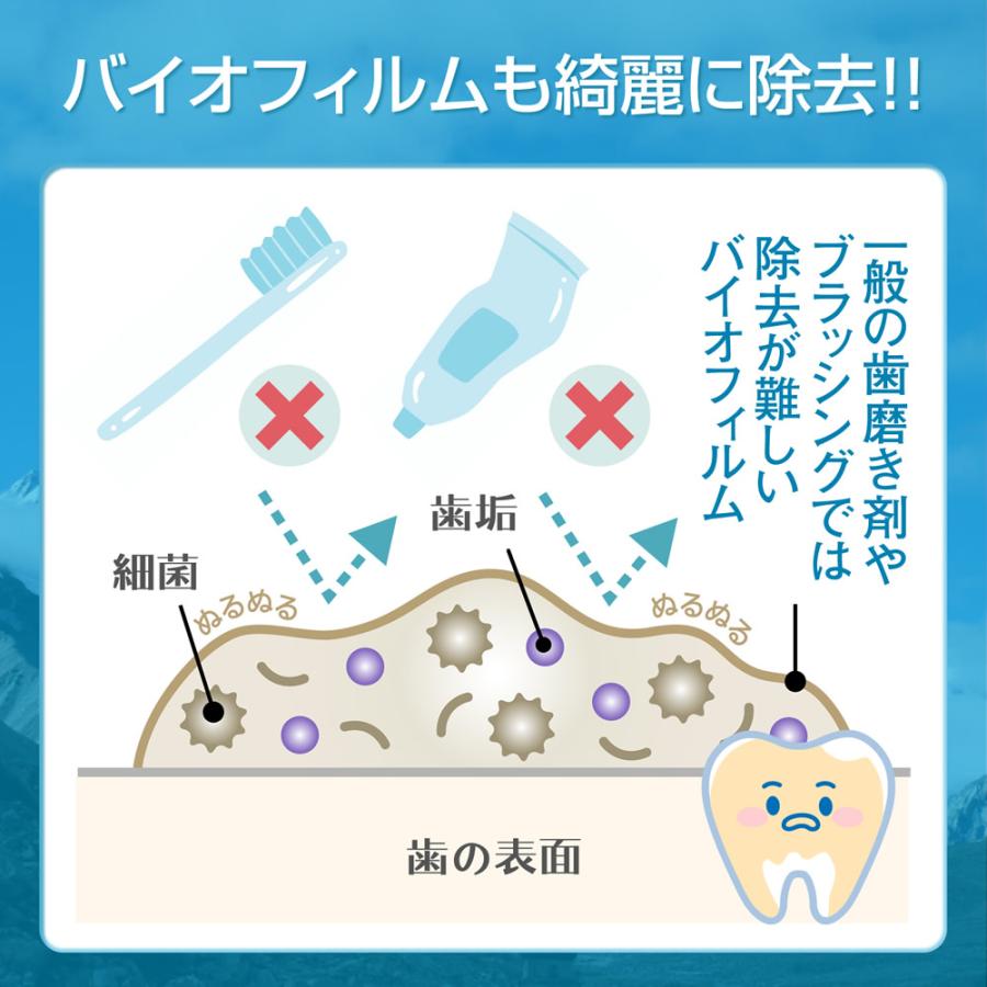 バイオペースト ハミガキ ミニサイズ 17g 岩塩から生まれた全 バイオペースト ハミガキ ミニサイズ 17g 岩塩から生まれた全