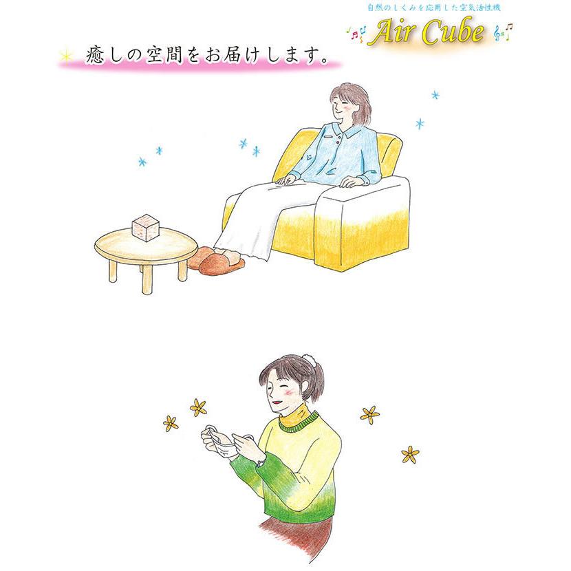 独創的 テネモス 空気活性機 AC キューブ 交流可変式エアキューブ