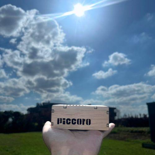 テネモス ピッコロ Piccoro 携帯用空気活性機 木製 v2 : 伊路波いちば