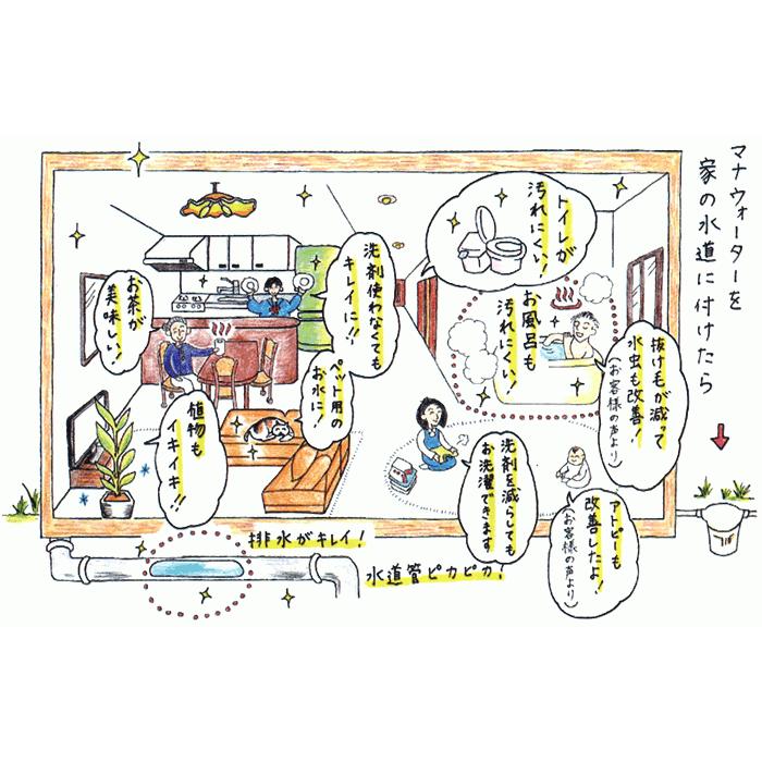 テネモス マナウォーター（活水器） 中サイズ 元付用 : 伊路波いちば