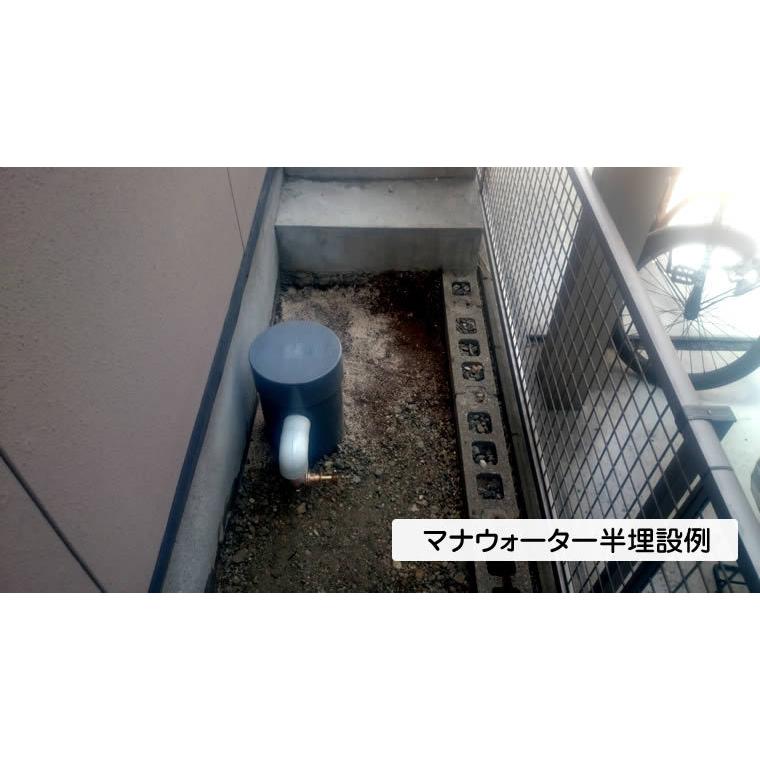 テネモス マナウォーター(活水器) 大サイズ 元付用 : 伊路波 テネモス マナウォーター(活水器) 大サイズ 元付用 : 伊路波