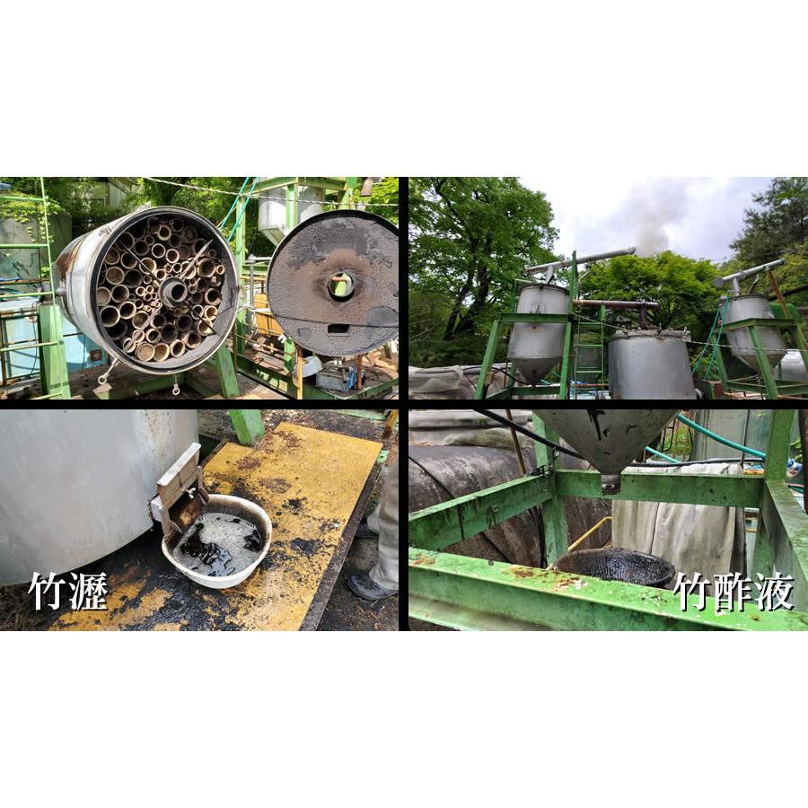 竹のささやき 30g - 笹炭パウダー3μ 食べる炭 | 植物性ケイ素｜iroha1390｜06