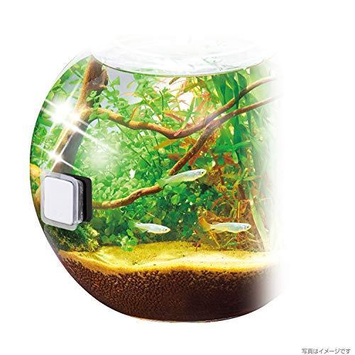 マグフィット フロート ROUND 曲面ガラスのコケ・汚れ落とし 強力ネオジム磁石 浮く 小型 薄型 [ GEX ]｜iroiro-abcolor｜04
