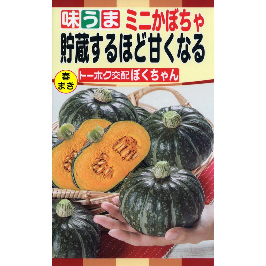 貯蔵するほど甘くなるミニカボチャ ぼくちゃん [ 株式会社トーホク