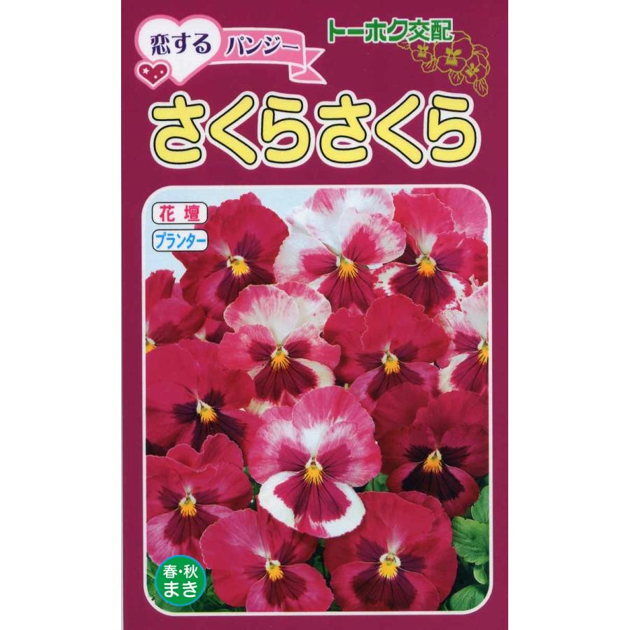 パンジー さくらさくら [ トーホク 04114 ] : いろ色通販 Abcolor - 通販 - Yahoo!ショッピング