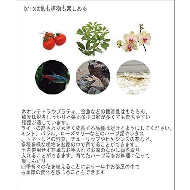 家庭用 アクアポニックス ブリオ 本体 brio 水槽 セット ホワイト brio35 お洒落 家庭用 お洒落