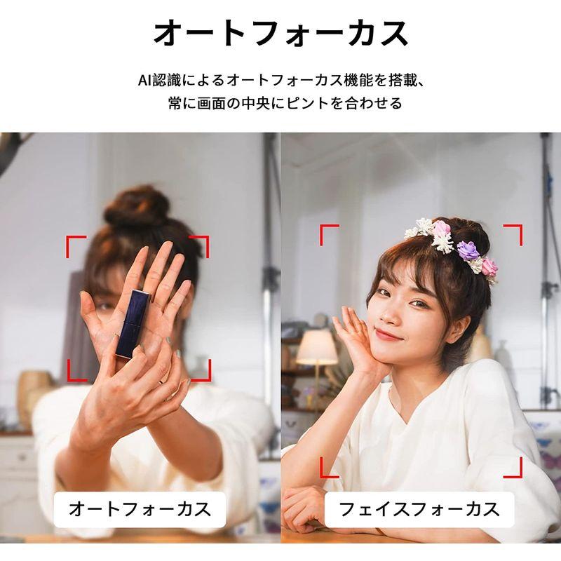 OBSBOT Meet 4K webカメラ AIオートフレーミング オートフォーカス 背景ぼかし/背景変更 HDR機能 マイク内蔵 usb接 4K AIオートフレーミング HDR機能 Meet webカメラ オートフォーカス 背景ぼかし/背景変更 マイク内蔵 usb接 fps