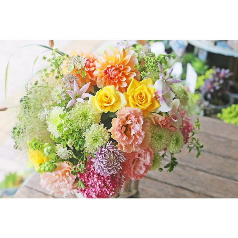 【希少】 アレンジメントフラワー 生花 ギフト LLサイズ イメージ(可愛い)大臣賞受賞デザイナー おまかせアレンジメント 【2371096038】(12186円)