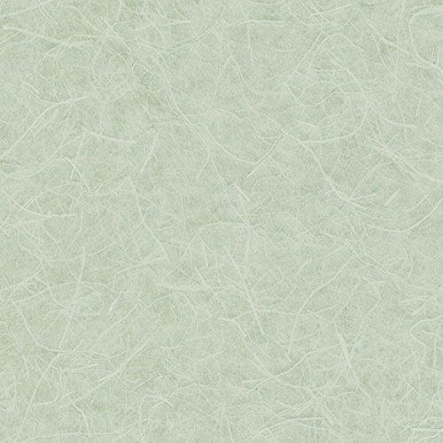 リリカラ 和紙調 壁紙48m 和 和紙調 グリーン Japan Lw 2651 A Bc6gm 防かび Diy 工具 ネットショップ アイアンピース