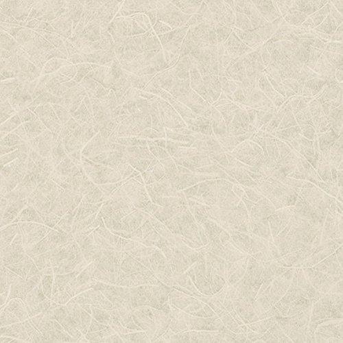 和 和紙調 壁紙38m 住宅設備 有効巾 92cm リリカラ Lw 2650 グレー 壁紙 Japan