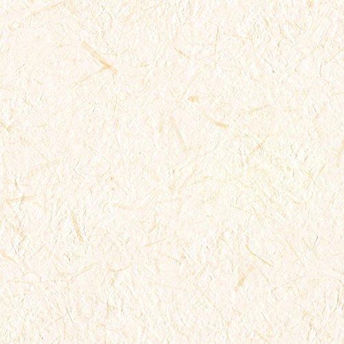 超安い品質 和 壁紙30ｍ リリカラ 和紙調 Lw 2653 Japan ベージュ 壁紙 Www Chemplex Co Zw
