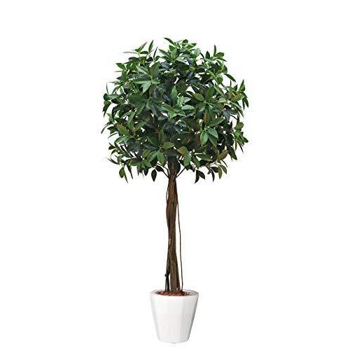 店舗や値段 観葉植物 フェイクグリーン 人工観葉植物 ベンジャミン 造花 おしゃれ ツリー 店舗装飾 黒鉢付 光触媒 大型 フ A B08c4rgmqn ネットショップ アイアンピース 通販 Yahoo ショッピング 大阪スペシャル Acelerando Com Ec