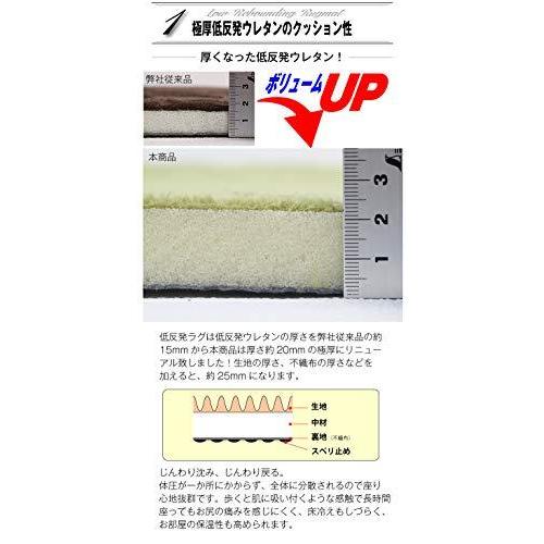 現品限り一斉値下げ 抗菌 防ダニ加工 0cm 直径 円形 極厚25mm 低反発ラグ ラグ フリーリー 厚手 カーペット オールシ ラグマット カーペット ラグ Iceenergy Nl