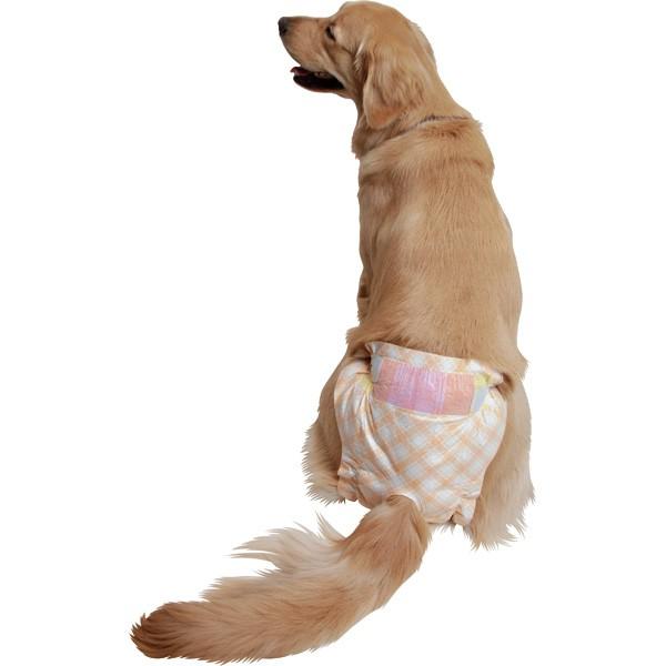大型犬用）マナーおむつ LLサイズ プチ（1枚入）（60567） : 大型犬