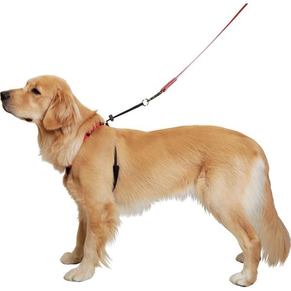 アイアンバロン　犬の介護用胴輪　Lサイズ アシスタントバンド　リトリバー アシスタントバンド 持ち手付きハニカム胴着（犬の介護用品）