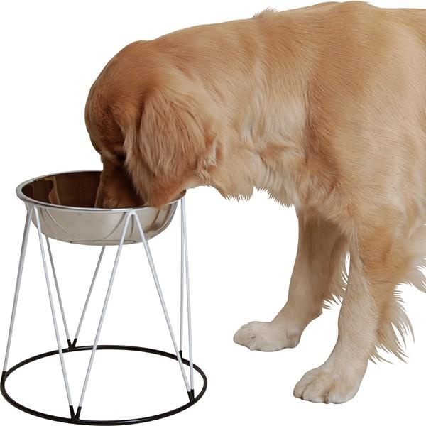 大型犬用）食器スタンド＆お皿セット（62618） : 大型犬用品専門