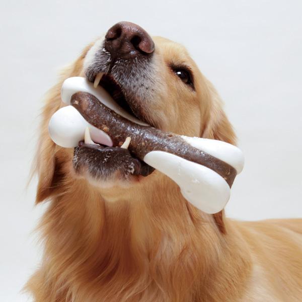 ガジィー リアルボーン ｌ 犬のおもちゃ gzb 大型犬用品専門店 アイアンバロン 通販 Yahoo ショッピング