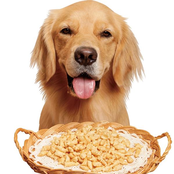 ユニ・チャームペット ワンちゃん専用 おっとっと : 大型犬用品専門店