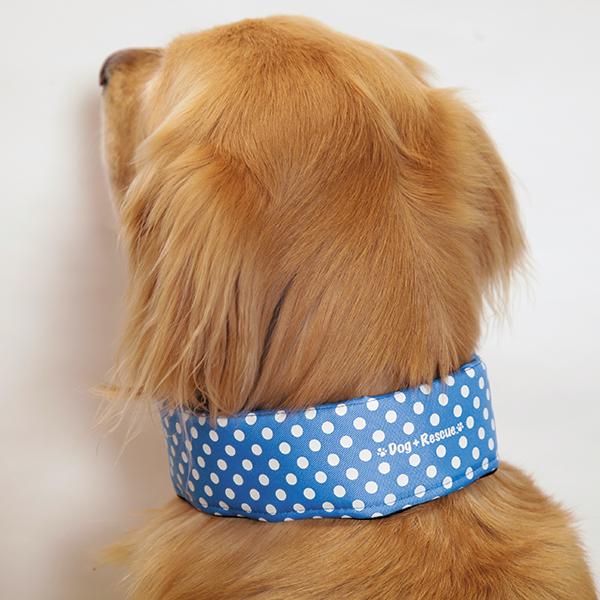 大型犬の暑さ対策）全周ひんやりクールバンダナ 保冷剤2本付 : 大型犬
