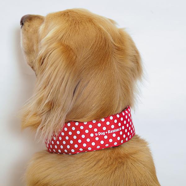 大型犬の暑さ対策）全周ひんやりクールバンダナ : 大型犬用品