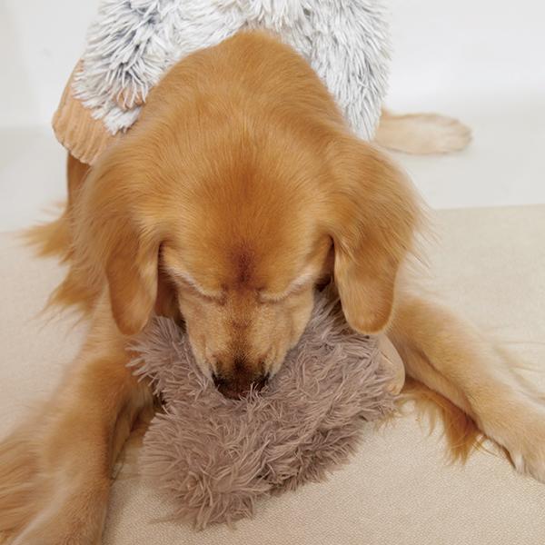 ビッグフット（犬のおもちゃ）（63367） : 大型犬用品専門店 アイアン