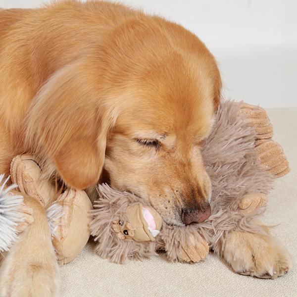 犬用のおもちゃ Amazon | WXVOVXW 犬 知育玩具 犬 おもちゃ 犬 知育玩具 ノーズ