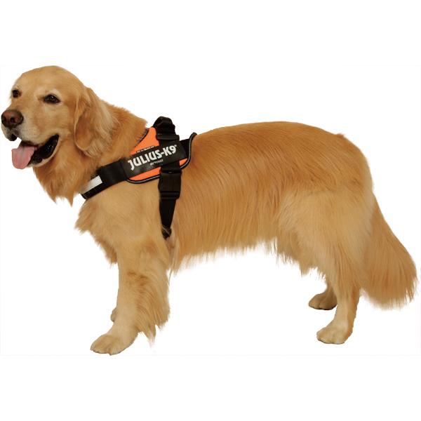 JULIUS-K9（ユリウスケーナイン） （大型犬用）ユリウスK9［Julius-K9