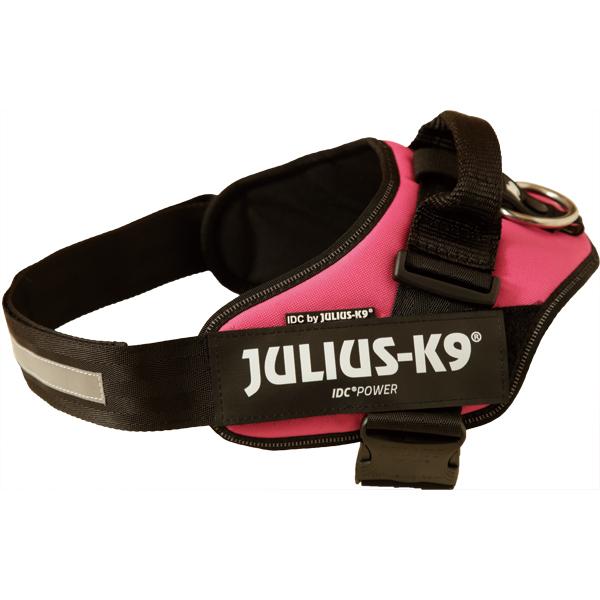 JULIUS-K9（ユリウスケーナイン） （大型犬用）ユリウスK9［Julius-K9