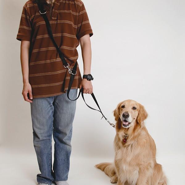 いし犬 うつぶせ柴犬｜WooBia公式オンラインショップ – WooBia