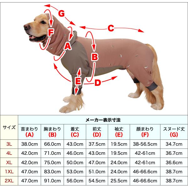 1XL・大型犬用）《アルファアイコン》 ドッグガードクール（2022
