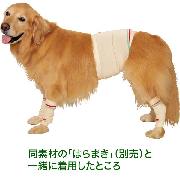 MANDARINE BROTHERS（マンダリンブラザーズ） （大型犬用）レッグ