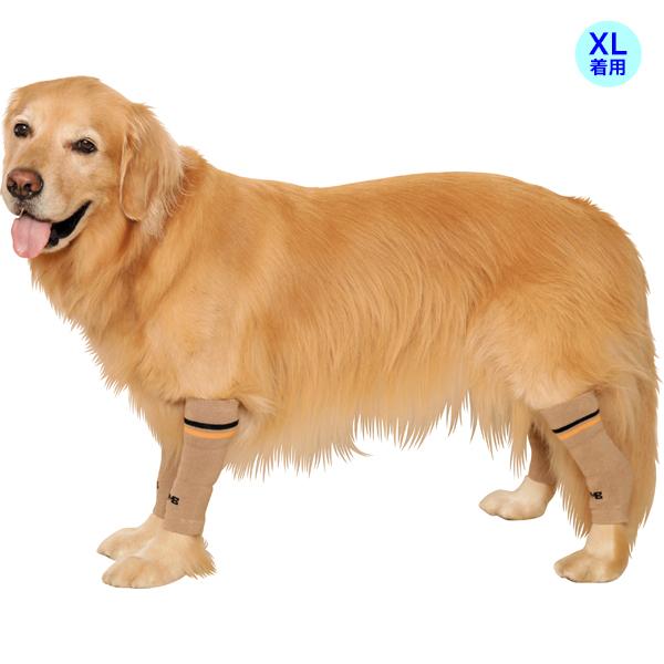 大型犬用）レッグウォーマー（63442） : 大型犬用品専門店 アイアン