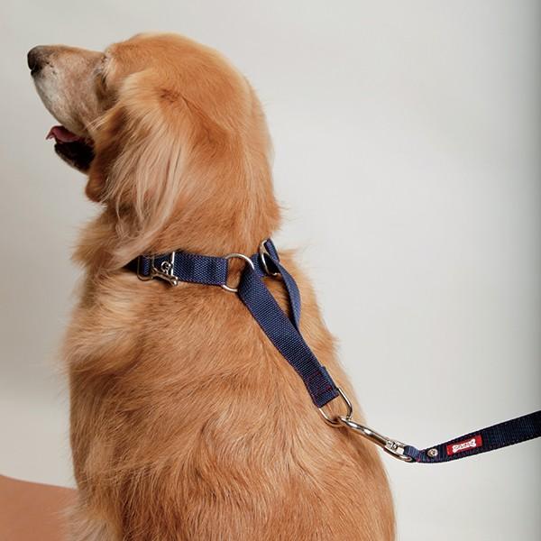 大型犬用 カジュアルステッチハーフチョーク首輪 Casuals 大型犬用品専門店 アイアンバロン 通販 Yahoo ショッピング