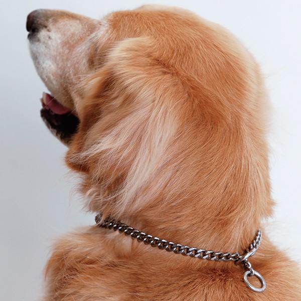 大型犬用）チタンチョークチェーン 40cm（マンテル型・両端ステンレス