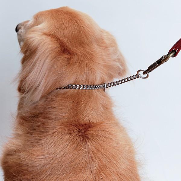 大型犬用 チタンチョークチェーン 40cm マンテル型 両端ステンレス Choke 40 大型犬用品専門店 アイアンバロン 通販 Yahoo ショッピング