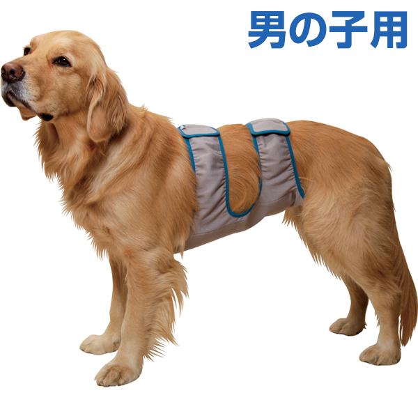 第一衛材 （大型犬用3L）マナーホルダー アクティブ［男の子用/女の子